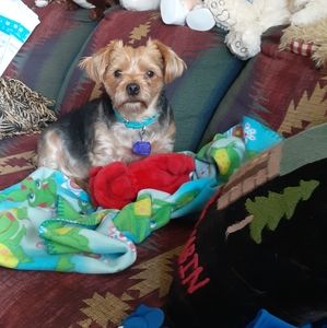 Meet your Posher, Ida